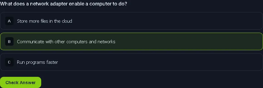 network adapter