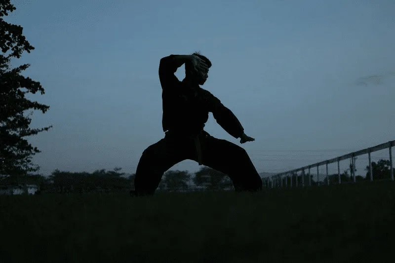 The Value of Martial Arts in Work